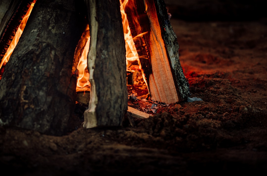 Photo Campfire pudgy pies